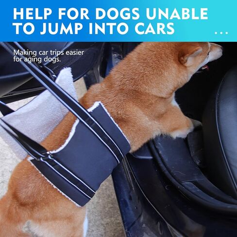 كلب كبير قابل للتعديل رفع تسخير حبال رفع الدعم للأرجل الخلفية الضعيفة دعم الساق الخلفية الناعمة للكلاب المصابة الكبيرة Sling-L + فرشاة أسنان الحيوانات الأليفة in Kuwait