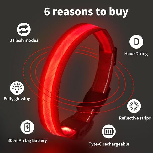 LED Dog Collar Light Up with 2025 Bright Beads & 300mAh Battery, Type-C Rechargeable Waterproof Dog Collar, 3 Flash Mode 15H for Night Safety, Adjustable Nylon Glow Collar for Small Medium Large Dogs in Saudi Arabia