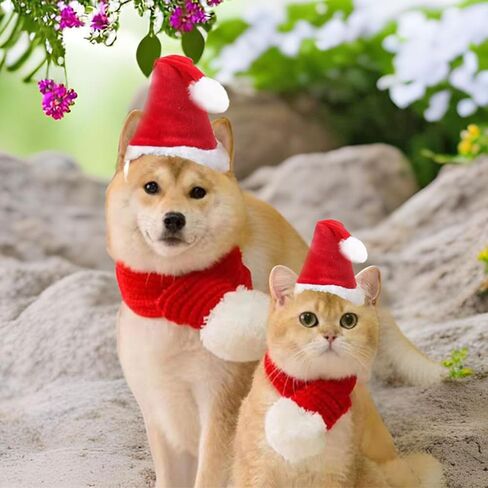 ANIAC Dog Christmas Hat and Scarf Set 2 PCS Adjustable Pet Santa Outfit Fall Winter Red Knitted Scarf with White Pompom Christmas Pet Costume Accessories for Medium Large Dog (Red Hat+Scarf, Large) in Saudi Arabia