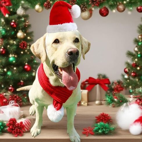 ANIAC Dog Christmas Hat and Scarf Set 2 PCS Adjustable Pet Santa Outfit Fall Winter Red Knitted Scarf with White Pompom Christmas Pet Costume Accessories for Medium Large Dog (Red Hat+Scarf, Large) in Saudi Arabia