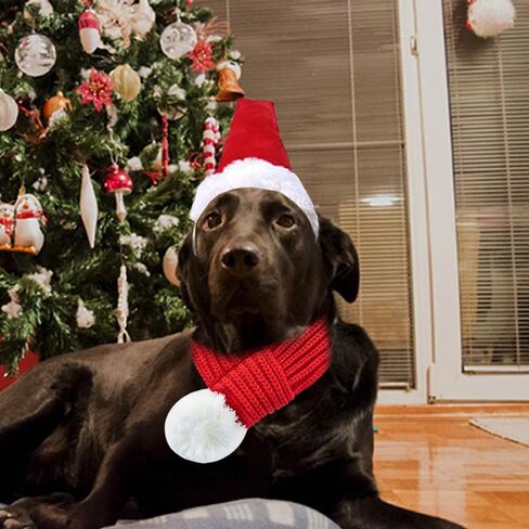 ANIAC Dog Christmas Hat and Scarf Set 2 PCS Adjustable Pet Santa Outfit Fall Winter Red Knitted Scarf with White Pompom Christmas Pet Costume Accessories for Medium Large Dog (Red Hat+Scarf, Large) in Saudi Arabia