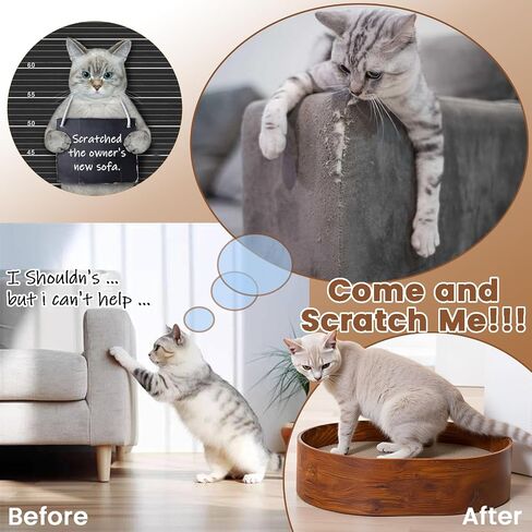 4 Packs Oval Cat Scratcher Cardboard with Box, Cat Scratch Pad for Indoor Cats Lounge Bed - Reversible, Durable Modern Kitty Scratcher Bowl, Furniture Protector for Carpets, Couch and Sofas in Saudi Arabia