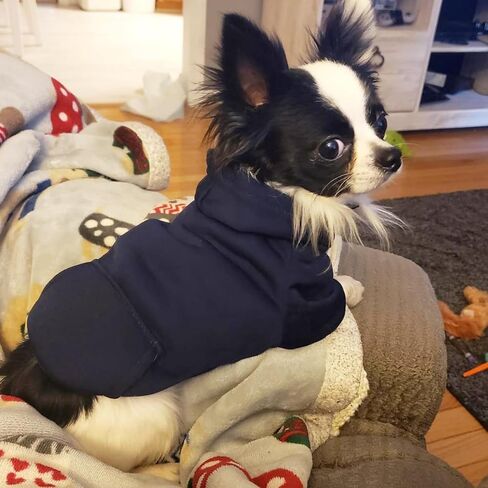 Winter Dog Hoodie Sweatshirts with Pockets and Hat Warm Dog Clothes for Small Dogs Coat Clothing Puppy Cat Custume (Small Navy Blue) in Saudi Arabia