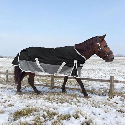 1200D Water Resistant Turnout Blanket for Mini Horse, Pony, Donkey & Llama - 220g Filled Lightweight Winter Horse Rug - for Young Horse, Alpaca, Small Equine (55‘’) in Saudi Arabia