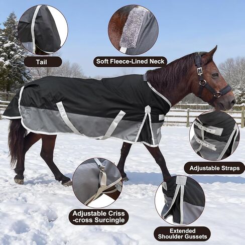 1200D Water Resistant Turnout Blanket for Mini Horse, Pony, Donkey & Llama - 220g Filled Lightweight Winter Horse Rug - for Young Horse, Alpaca, Small Equine (55‘’) in Saudi Arabia