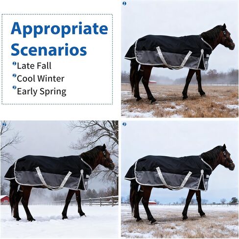 1200D Water Resistant Turnout Blanket for Mini Horse, Pony, Donkey & Llama - 220g Filled Lightweight Winter Horse Rug - for Young Horse, Alpaca, Small Equine (55‘’) in Saudi Arabia