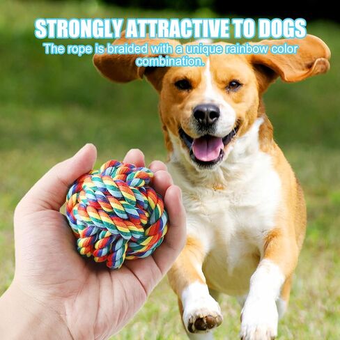 Celery Tough Dog Toys for Aggressive chewers - 4 Pack Durable Cotton Rope chew Toys for Large Dogs and Medium, Interactive tug of War, Teeth Cleaning, Puppy Training and Fetch Play in Kuwait