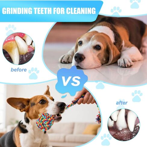 Celery Tough Dog Toys for Aggressive chewers - 4 Pack Durable Cotton Rope chew Toys for Large Dogs and Medium, Interactive tug of War, Teeth Cleaning, Puppy Training and Fetch Play in Kuwait