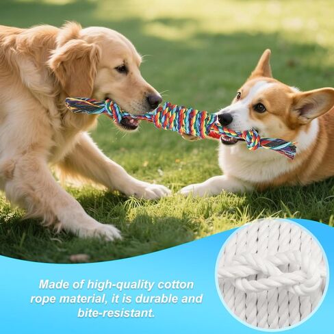 Celery Tough Dog Toys for Aggressive chewers - 4 Pack Durable Cotton Rope chew Toys for Large Dogs and Medium, Interactive tug of War, Teeth Cleaning, Puppy Training and Fetch Play in Kuwait