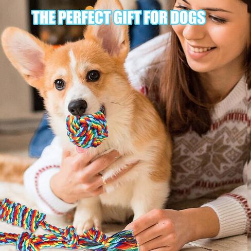 Celery Tough Dog Toys for Aggressive chewers - 4 Pack Durable Cotton Rope chew Toys for Large Dogs and Medium, Interactive tug of War, Teeth Cleaning, Puppy Training and Fetch Play in Kuwait