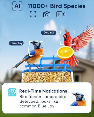 وحدة تغذية الطيور الذكية ثلاثية الطاقة الشمسية مع الكاميرا - كاميرا مراقبة الطيور اللاسلكية بدقة 3 ميجابكسل UHD للأماكن الخارجية مع تحديد أنواع الطيور بالذكاء الاصطناعي وسعة البذور 2 لتر، هدية مثالية لمحبي الطيور والأمهات والآباء in Kuwait