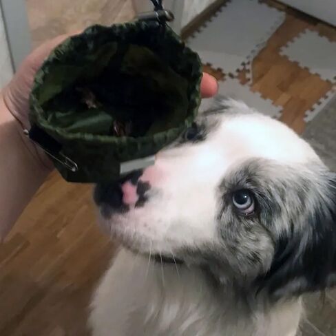 Dog Treat Pouch – Small Training Bag w/Pin Carabiner Clip, Drawstring Closure, Spill Proof, 1 Cup Capacity, Puppy Training Treats Holder, Dog Show Handler Accessory, Outdoor Walking Gear in Saudi Arabia