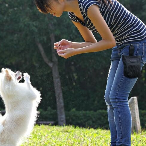 Dog Training Treat Pouch Small Portable Dog Treat Pouch Bag with Clip Pet Bait Snack Reward Puppy Training Container Food Treat Feeding Holder Mini Dog Treat Tote Waist Bag for Pet Training Walking in Saudi Arabia