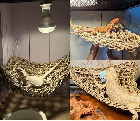 Leopard Gecko Tank Accessories, Habitat Decor with Reptile Hammock, Bendable Wooden Bridge for Bearded Dragon, Hermit Crab, Crested Gecko, Lizard, Chameleon, Snake in Saudi Arabia
