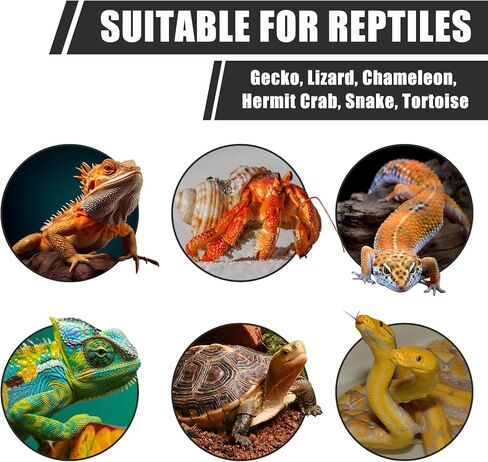 Leopard Gecko Tank Accessories, Habitat Decor with Reptile Hammock, Bendable Wooden Bridge for Bearded Dragon, Hermit Crab, Crested Gecko, Lizard, Chameleon, Snake in Saudi Arabia