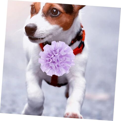 Milisten 10pcs Colorful Pet Flower Bow Ties Mixed Design Floral Dog Collar Accessories for Puppies and Cats for Photos Parties and Daily Wear in Saudi Arabia