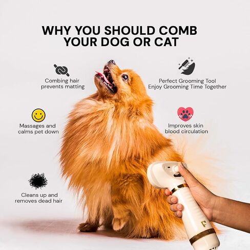 Pet Steam Brush Grooming Dryer for Dogs & Cats – 3-in-1 Grooming Tool with Gentle Steam, Low Noise 600W Motor, Deshedding, Drying & Fur Fluffing for All Coat Types in Saudi Arabia
