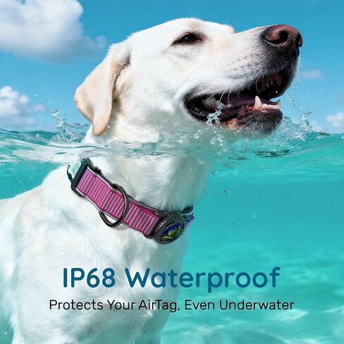 for Airtag Dog Collar with Air Tag Holder Waterproof, Ultra-Reflective, Nylon Padded with QR Code Buckle for Small Dogs (Rose Red, S) in Saudi Arabia