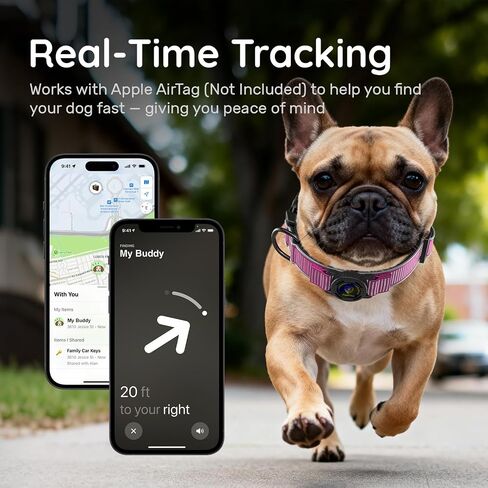 for Airtag Dog Collar with Air Tag Holder Waterproof, Ultra-Reflective, Nylon Padded with QR Code Buckle for Small Dogs (Rose Red, S) in Saudi Arabia