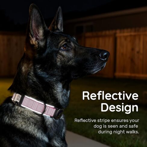 for Airtag Dog Collar with Air Tag Holder Waterproof, Ultra-Reflective, Nylon Padded with QR Code Buckle for Small Dogs (Rose Red, S) in Saudi Arabia