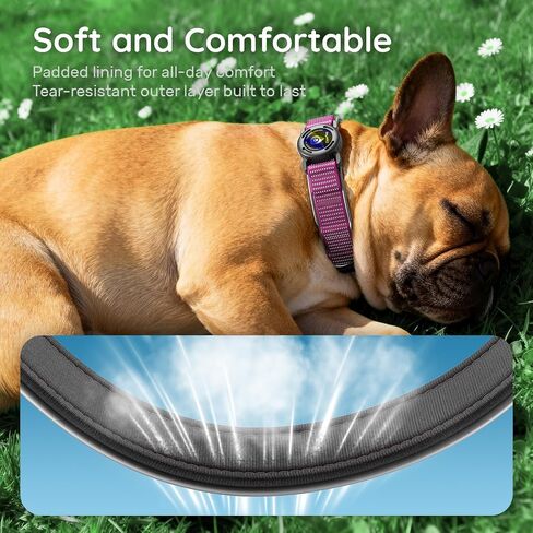 for Airtag Dog Collar with Air Tag Holder Waterproof, Ultra-Reflective, Nylon Padded with QR Code Buckle for Small Dogs (Rose Red, S) in Saudi Arabia