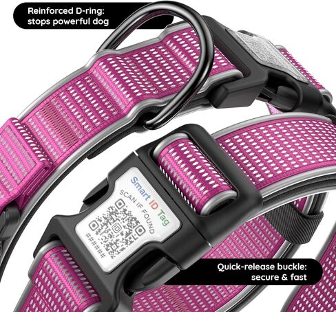 for Airtag Dog Collar with Air Tag Holder Waterproof, Ultra-Reflective, Nylon Padded with QR Code Buckle for Small Dogs (Rose Red, S) in Saudi Arabia