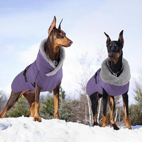 Dog Coat, Waterproof Dog Winter Jacket with Adjustable Buckle, Reflective Turtleneck Pet Snow Vest Warm Fleece Sweater for Small Medium Large Dogs - Purple, L in Saudi Arabia