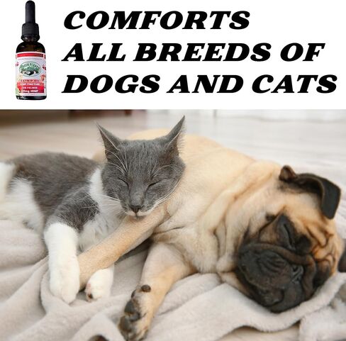 Pet Hemp Oil | Dogs and Cats | Catnip Oil | Green Planet Hemp | 120MG Organic Tincture | 100% Natural | Hip, Joint, and Muscle Support for Your Pet | Aids with Anxiety,Stress, and Pain in Saudi Arabia