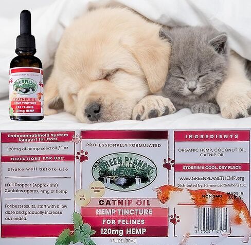 Pet Hemp Oil | Dogs and Cats | Catnip Oil | Green Planet Hemp | 120MG Organic Tincture | 100% Natural | Hip, Joint, and Muscle Support for Your Pet | Aids with Anxiety,Stress, and Pain in Saudi Arabia