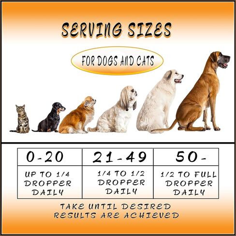 Pet Hemp Oil | Dogs and Cats | Catnip Oil | Green Planet Hemp | 120MG Organic Tincture | 100% Natural | Hip, Joint, and Muscle Support for Your Pet | Aids with Anxiety,Stress, and Pain in Saudi Arabia