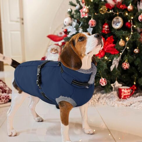 AOFITEE Dog Coat, Warm Dog Jacket Winter, Waterproof Dogs Winter Coat with Harness & Zipper, Reflective Turtleneck Fleece Pet Puffer Jacket Snowsuit for Jack Russel, Boston Terrier, Blue M in Saudi Arabia