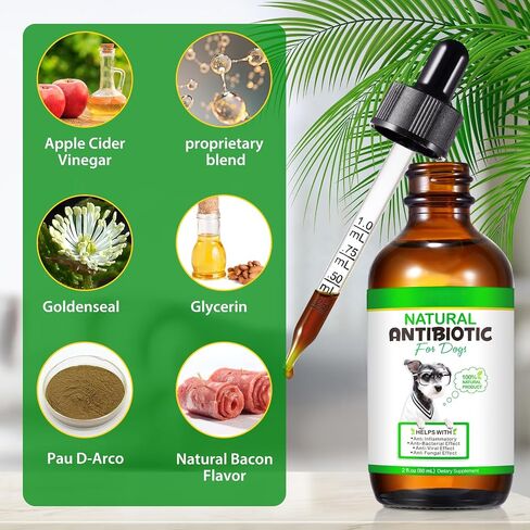 Dog Antibiotics for Infection, Coughs, UTIs, Allergies, Itching | Natural Antibiotics for Dogs - 2 oz in Saudi Arabia