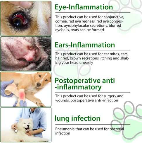Dog Antibiotics for Infection, Coughs, UTIs, Allergies, Itching | Natural Antibiotics for Dogs - 2 oz in Saudi Arabia