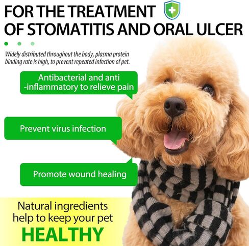 Dog Antibiotics for Infection, Coughs, UTIs, Allergies, Itching | Natural Antibiotics for Dogs - 2 oz in Saudi Arabia