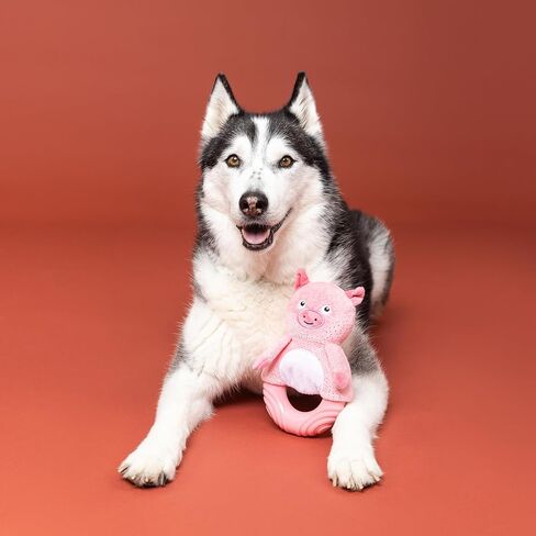 Fringe Studio Rubber Dog Toy, GET Piggy with IT, Pet Shop Collection (519056) in Saudi Arabia
