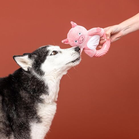 Fringe Studio Rubber Dog Toy, GET Piggy with IT, Pet Shop Collection (519056) in Saudi Arabia