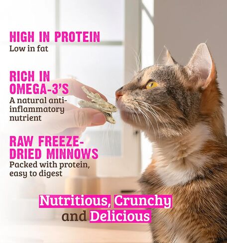 Rawz Raw Freeze Dried Rabbit, Goat's Milk & Green Mussels Crunchy Cat Treats- 1 Ounce Bag in Saudi Arabia