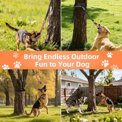 Outdoor Bungee Tug Toy, Dog Hanging Bungee Tug Toy with 3 Dog Chew Ropes, Interactive Retractable Play Cord Tether from Tree Outdoor for Small Medium Large Breeds Exercise and Play, Black+Grey in Kuwait