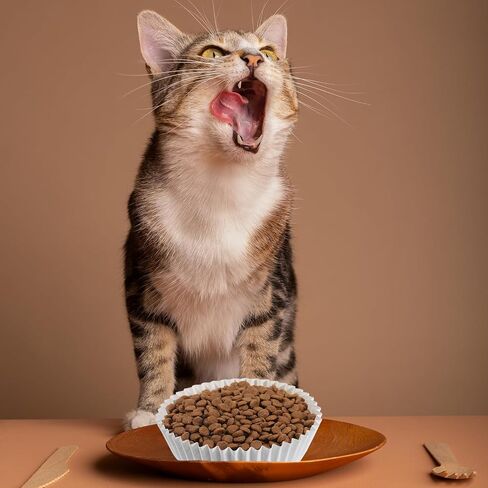 600 Pcs Large Pet Disposable Feeding Bowls Liner, 4 x 1.2 Inch Bulk Cat Food Bowls Pets Feeding Bowl Small Paper Dish Liner for Small Dogs Cats, Paper Bowl for Cat Dishes, Wet Food in Saudi Arabia