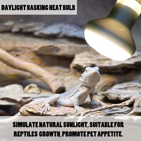 Reptile Heat Lamp Bulb 100 Watt, Day Time & Night Basking Spot Light Combo Pack, Amphibians Infrared Red Heat Light Bulb and Daylight Heating Lamp for Bearded Dragon, Leopard Gecko, Chicken, 4 Pack in Saudi Arabia