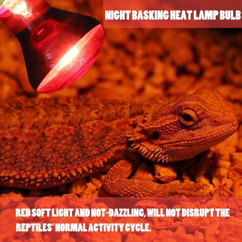 Reptile Heat Lamp Bulb 100 Watt, Day Time & Night Basking Spot Light Combo Pack, Amphibians Infrared Red Heat Light Bulb and Daylight Heating Lamp for Bearded Dragon, Leopard Gecko, Chicken, 4 Pack in Saudi Arabia