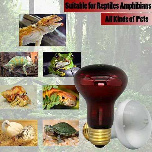 Reptile Heat Lamp Bulb 100 Watt, Day Time & Night Basking Spot Light Combo Pack, Amphibians Infrared Red Heat Light Bulb and Daylight Heating Lamp for Bearded Dragon, Leopard Gecko, Chicken, 4 Pack in Saudi Arabia