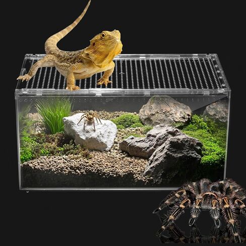 Reptile PC Terrarium,Spider Tank Starter Kit,Leopard Gecko Container,Hermit Crab Habitat,Lizard Enclosure, Isopods & Insects - Transparent Plastic Breeding Box with Ventilation (8x6x4 Inch) in Saudi Arabia