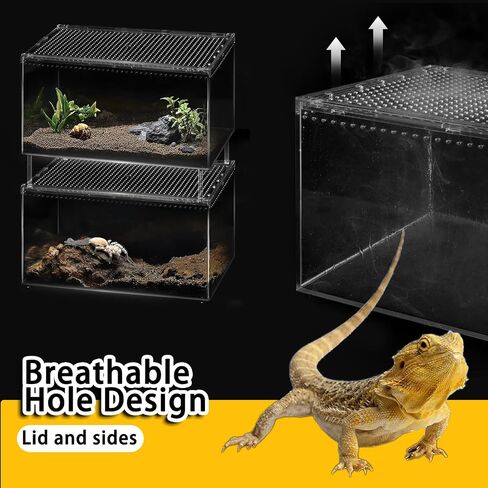 Reptile PC Terrarium,Spider Tank Starter Kit,Leopard Gecko Container,Hermit Crab Habitat,Lizard Enclosure, Isopods & Insects - Transparent Plastic Breeding Box with Ventilation (8x6x4 Inch) in Saudi Arabia