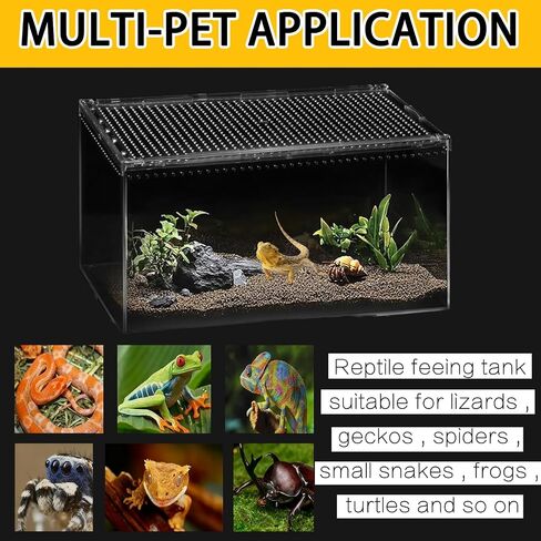 Reptile PC Terrarium,Spider Tank Starter Kit,Leopard Gecko Container,Hermit Crab Habitat,Lizard Enclosure, Isopods & Insects - Transparent Plastic Breeding Box with Ventilation (8x6x4 Inch) in Saudi Arabia
