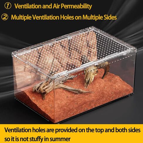 Reptile PC Terrarium,Spider Tank Starter Kit,Leopard Gecko Container,Hermit Crab Habitat,Lizard Enclosure, Isopods & Insects - Transparent Plastic Breeding Box with Ventilation (8x6x4 Inch) in Saudi Arabia