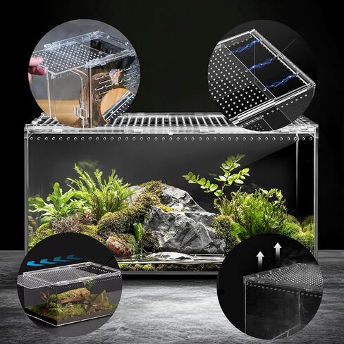 Reptile PC Terrarium,Spider Tank Starter Kit,Leopard Gecko Container,Hermit Crab Habitat,Lizard Enclosure, Isopods & Insects - Transparent Plastic Breeding Box with Ventilation (8x6x4 Inch) in Saudi Arabia
