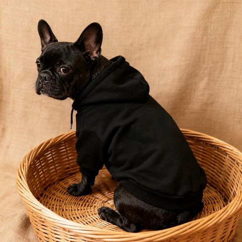 Black Winter Dog Hoodie for Small and Medium Breeds, Warm Fleece-Lined Hooded Sweater, Cold Weather Pet Apparel with Leash Access in Saudi Arabia