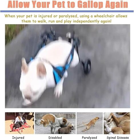 Dog Wheelchair Pet Rehabilitation Walking Aids, Rear Leg Wheelchairs Support, Adjustable Assist Carts with Wheels, Small Amputee Pets Walk Tools in Saudi Arabia