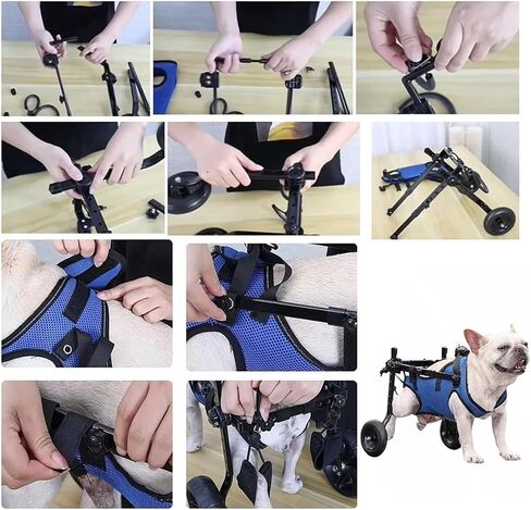 Dog Wheelchair Pet Rehabilitation Walking Aids, Rear Leg Wheelchairs Support, Adjustable Assist Carts with Wheels, Small Amputee Pets Walk Tools in Saudi Arabia